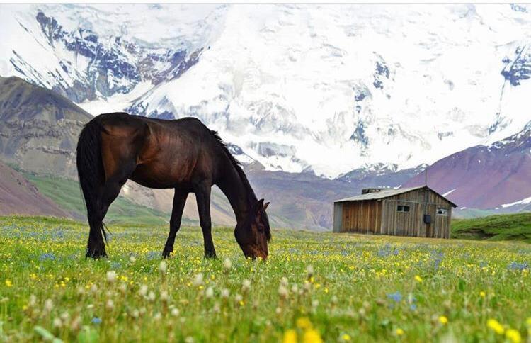 Yurt Camp Lenin Peak Hotel Kara-Kavak Bagian luar foto